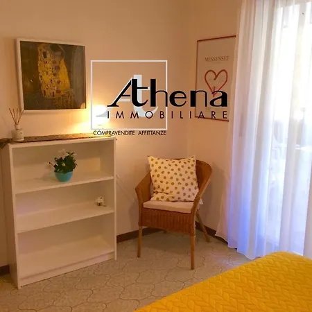 Zipser 23 * 格拉多